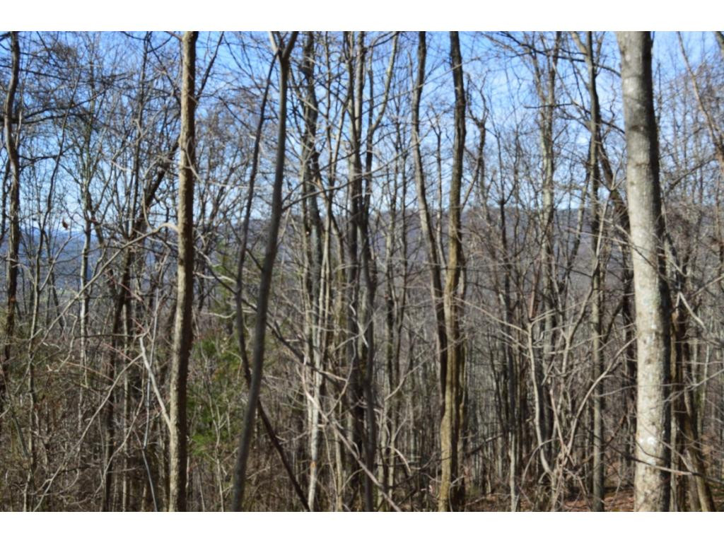 Tbd Clarktown Road Unicoi, TN 37692 - Photo 3 of 21 Photo 3