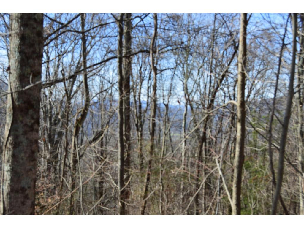 Tbd Clarktown Road Unicoi, TN 37692 - Photo 4 of 21 Photo 4