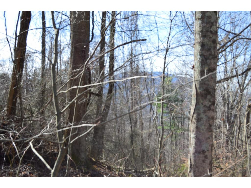 Tbd Clarktown Road Unicoi, TN 37692 - Photo 5 of 21 Photo 5