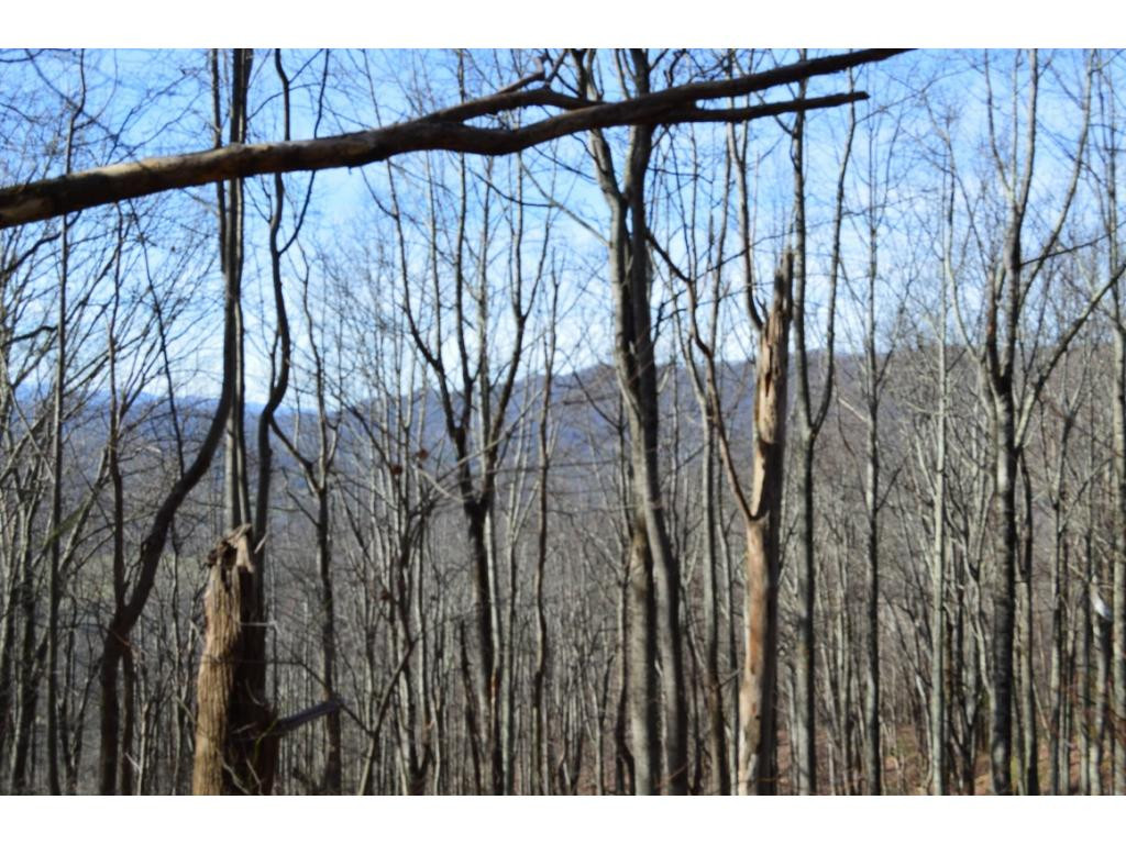Tbd Clarktown Road Unicoi, TN 37692 - Photo 8 of 21 Photo 8