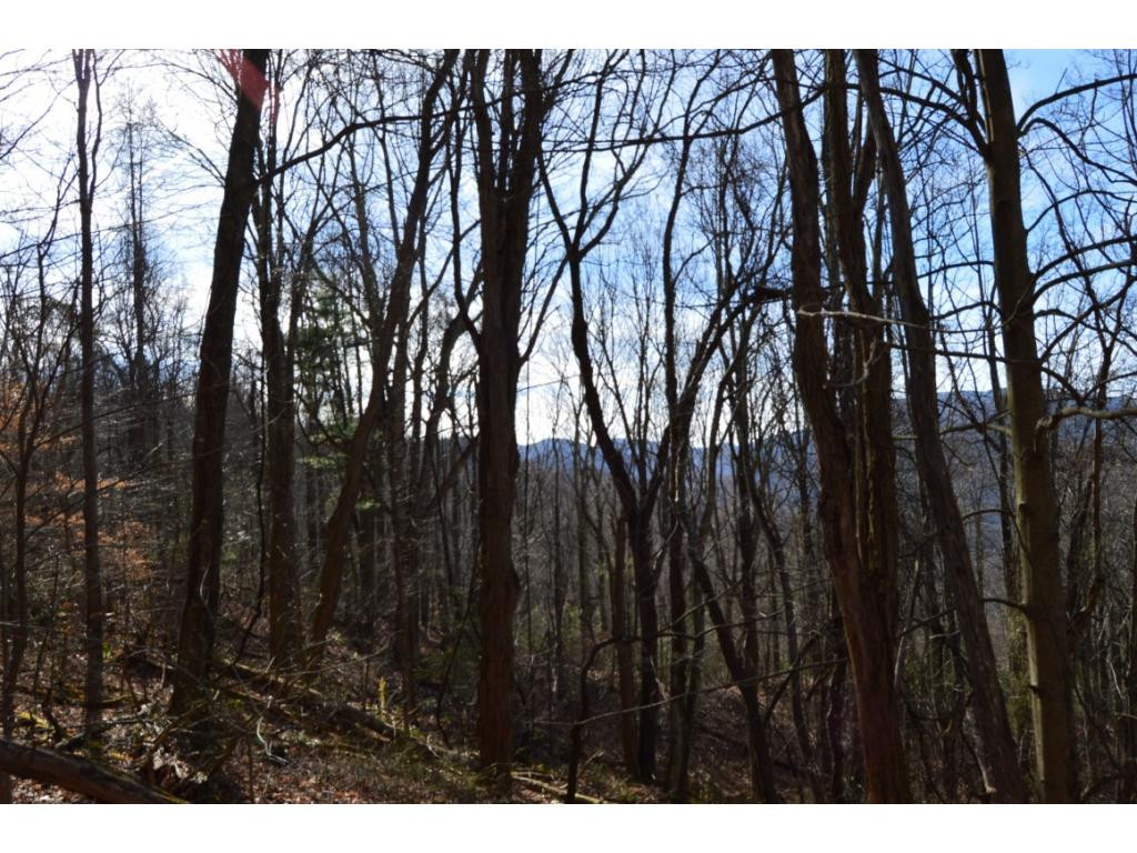 Tbd Clarktown Road Unicoi, TN 37692 - Photo 9 of 21 Photo 9
