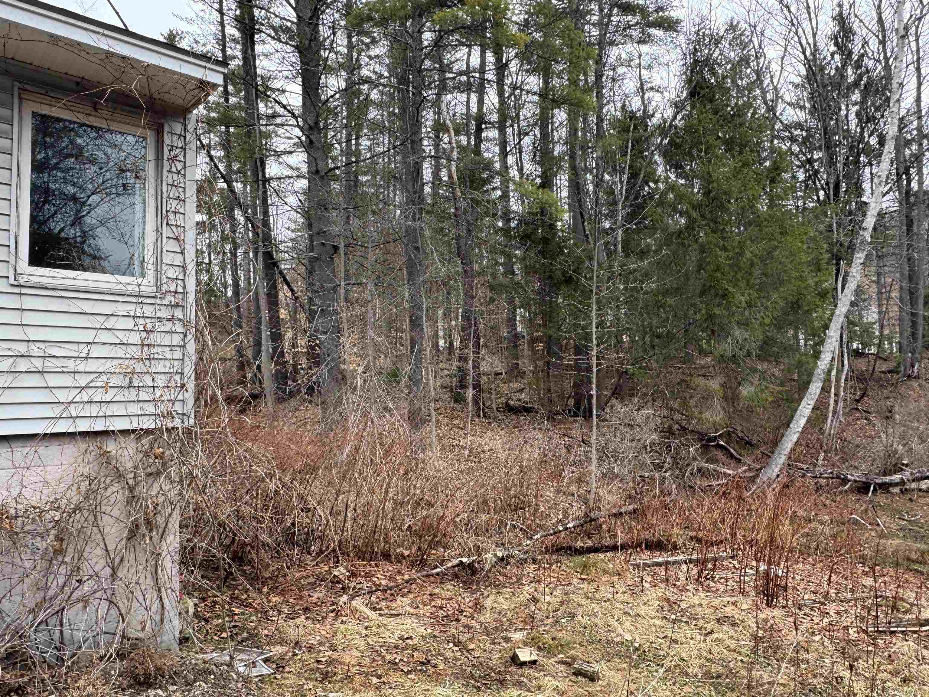 27 Terrace Street Montpelier, VT 05602 - Photo 40 of 49