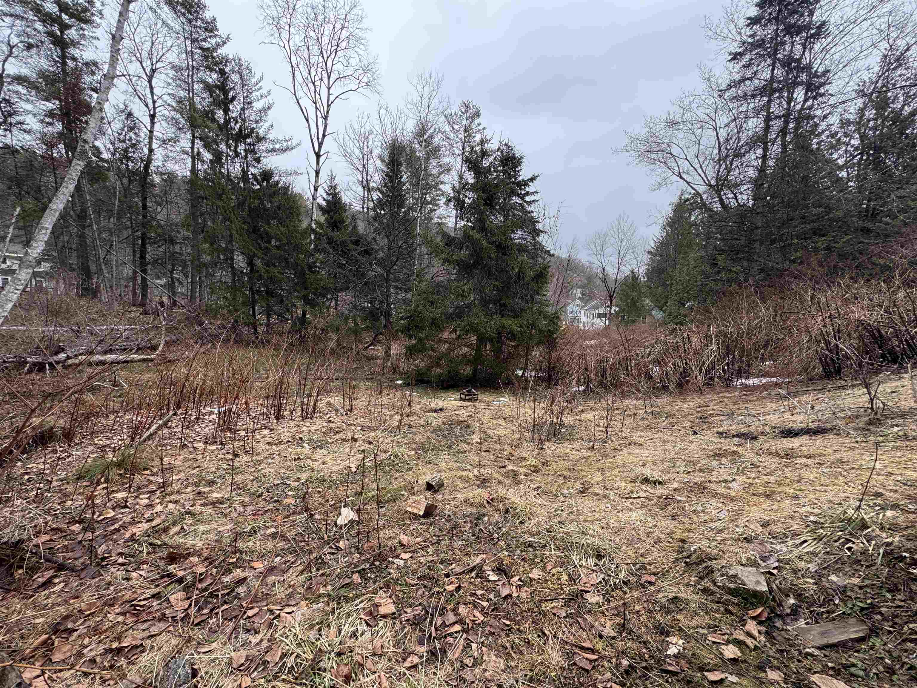 27 Terrace Street Montpelier, VT 05602 - Photo 9 of 49