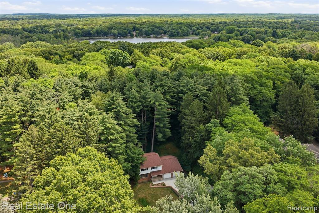 10353 Mcgregor Road Pinckney, MI 48169 - Photo 40 of 41