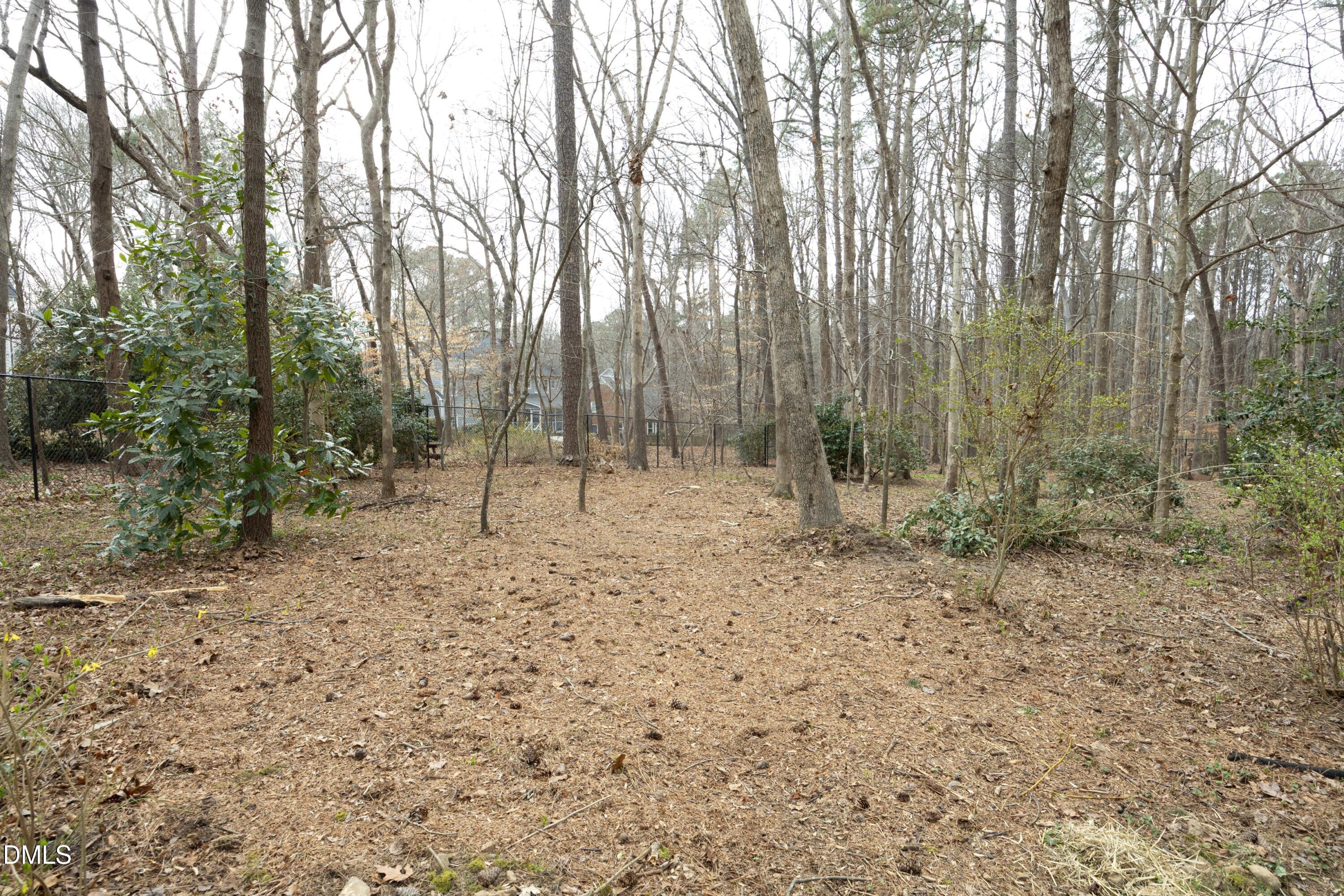10728 Winding Wood Trail Raleigh, NC 27613 - Photo 40 of 54 a view of outdoor space with trees