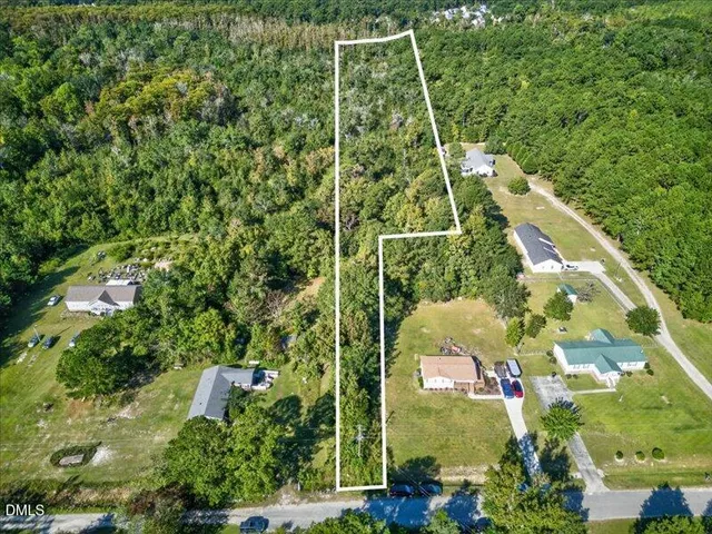 a view of a yard with plants and large trees