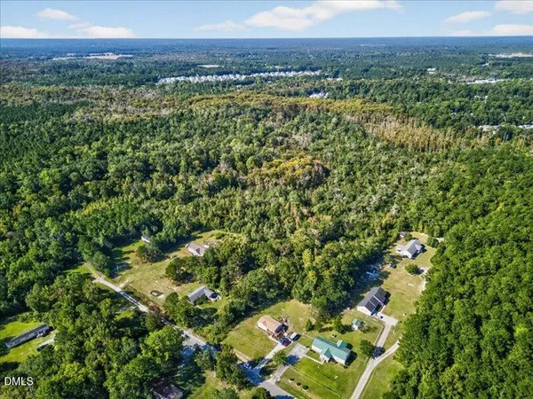 a view of a lush green forest with a houses