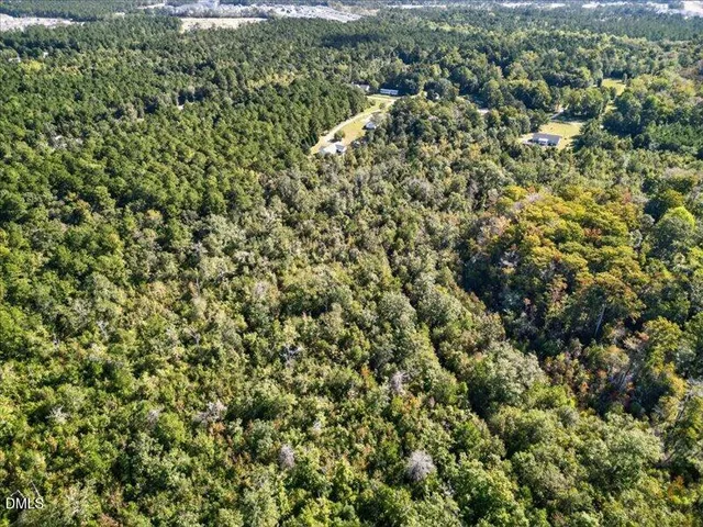 view of a city with lots of bushes