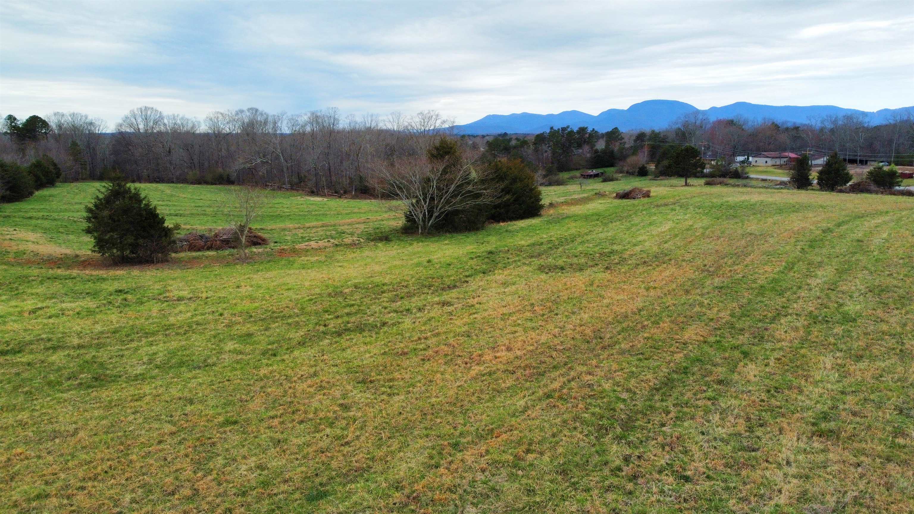 21.83 Acres Redland Road Campobello, SC 29322 - Photo 3 of 6