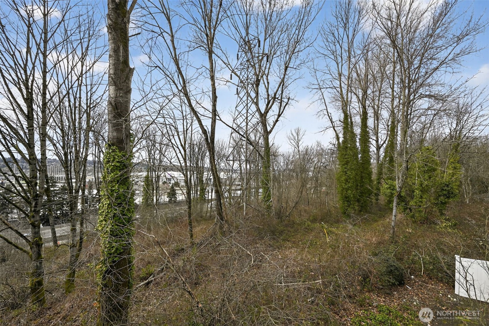 901 Sunset Boulevard Northeast, Unit D215 Renton, WA 98056 - Photo 27 of 31