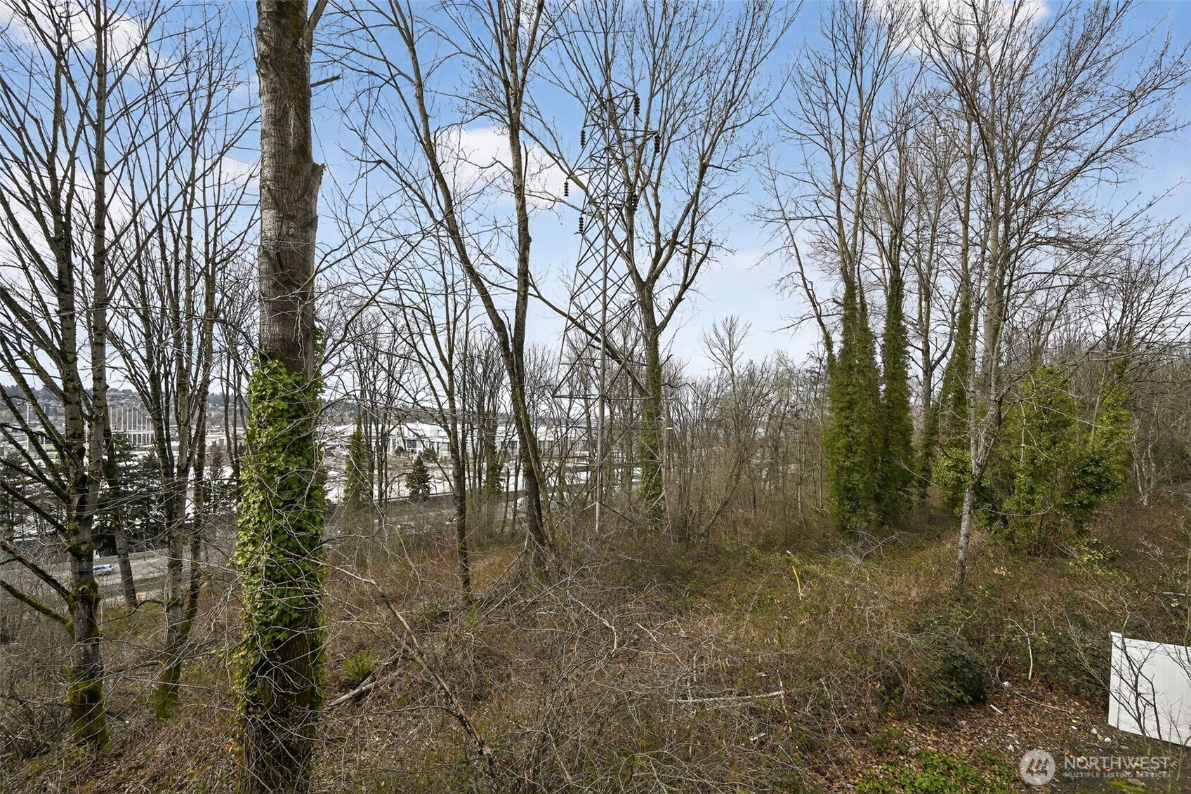 901 Sunset Boulevard Northeast, Unit D215 Renton, WA 98056 - Photo 28 of 31