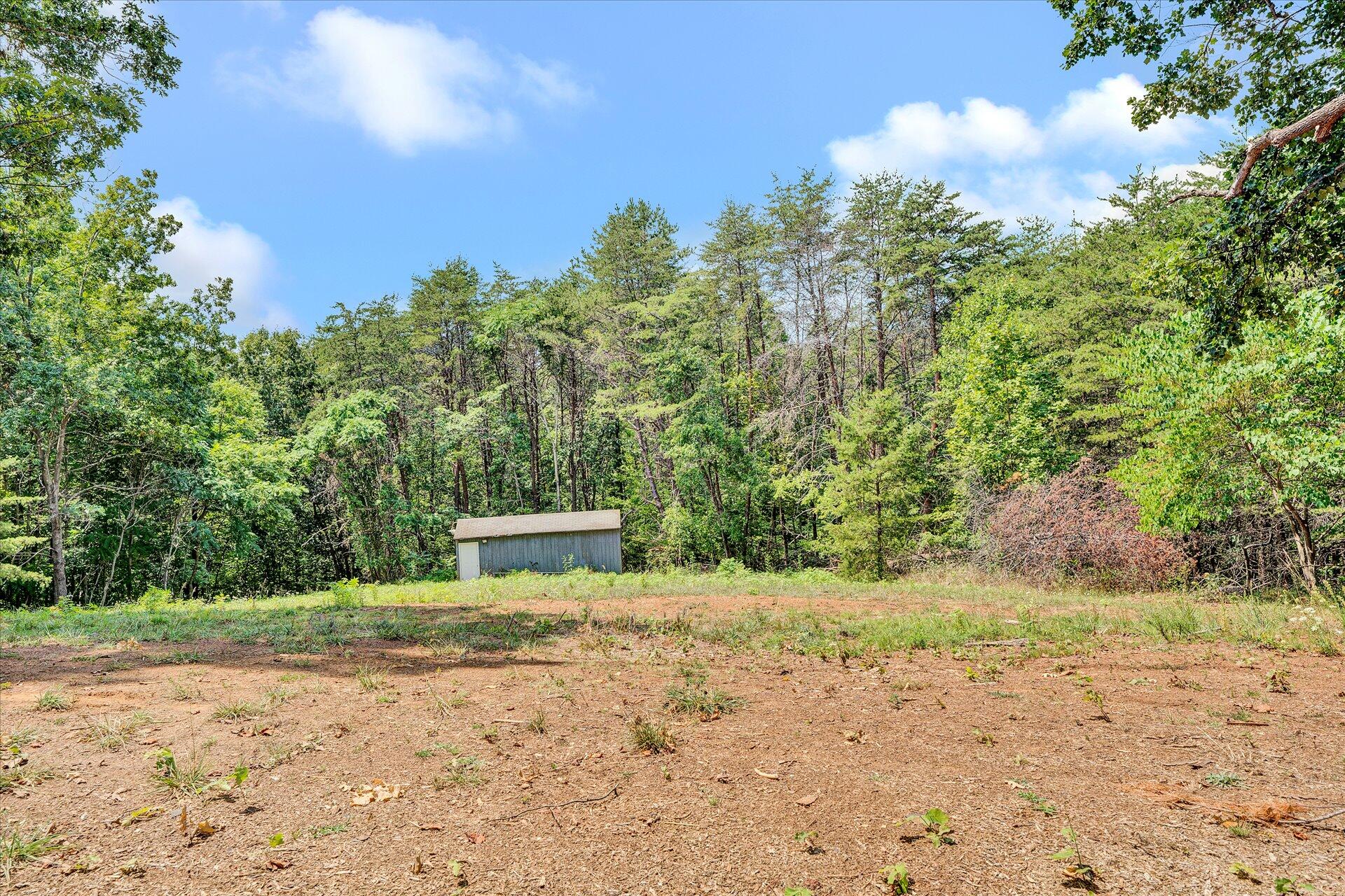 1853 Navigation Point Goodview, VA 24095 - Photo 35 of 38 a view of a yard with plants and trees