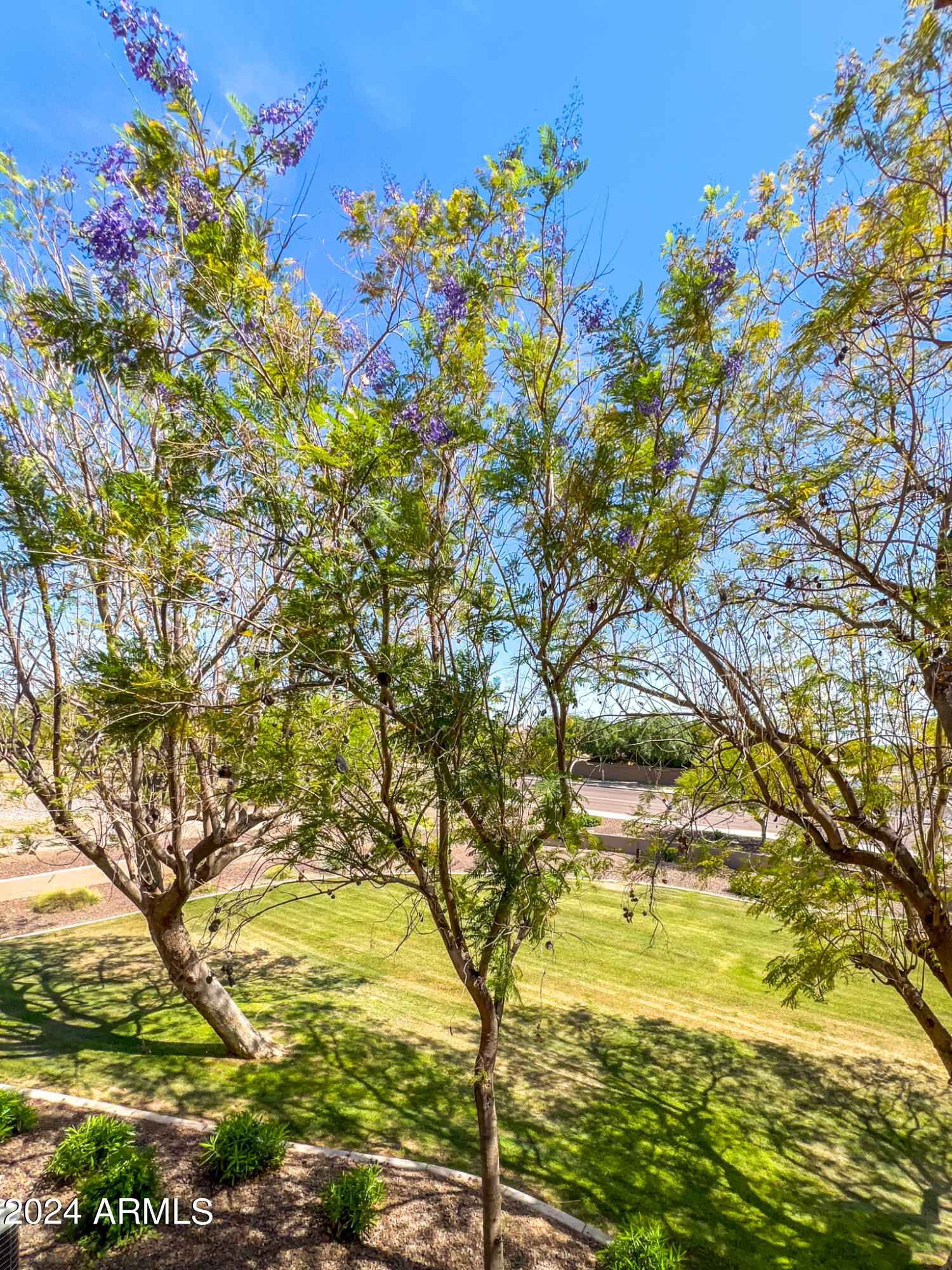 14250 West Wigwam Boulevard, Unit 2721 Litchfield Park, AZ 85340 - Photo 44 of 47 a7dce1e4-30bb-44dc-94d2-bba90f63a5a3-2