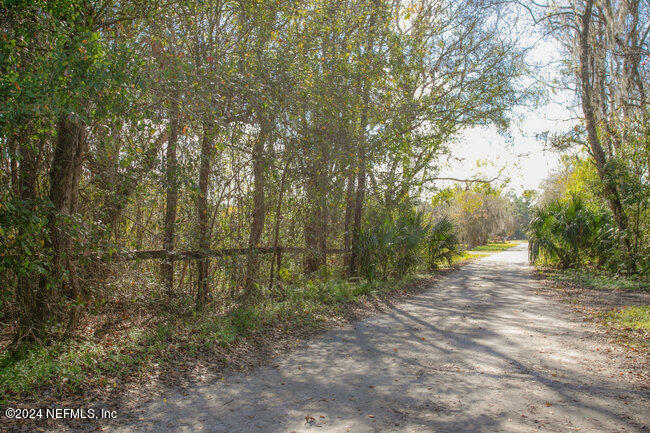 1895 Bennett Road St. Augustine, FL 32092 - Photo 9 of 17 a view of a yard with large trees