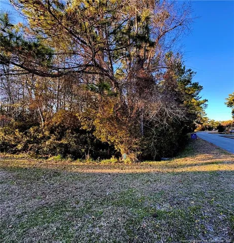 a view of outdoor space and yard