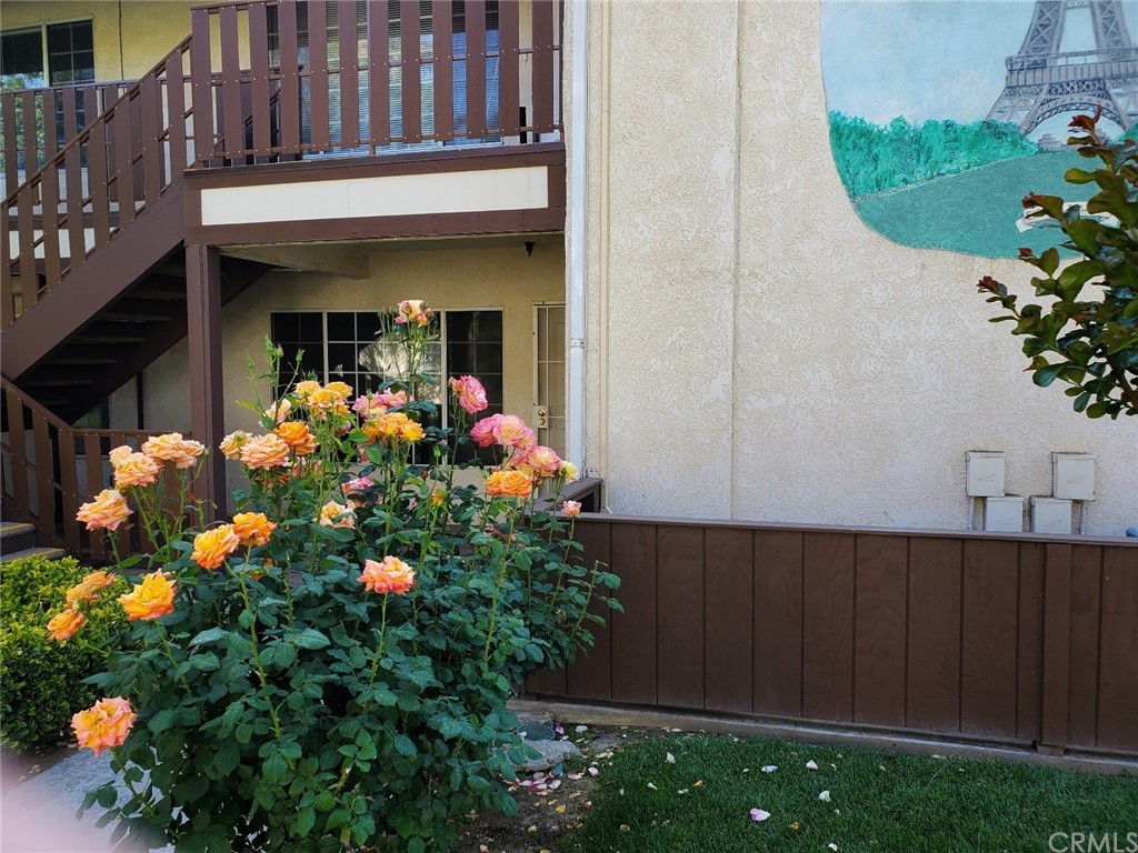 a front view of a house with plants