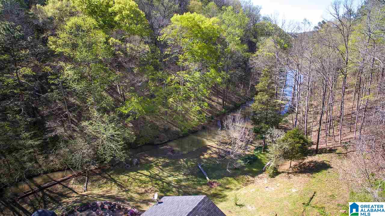 8751 Clayton Cove Road Springville, AL 35146 - Photo 2 of 44