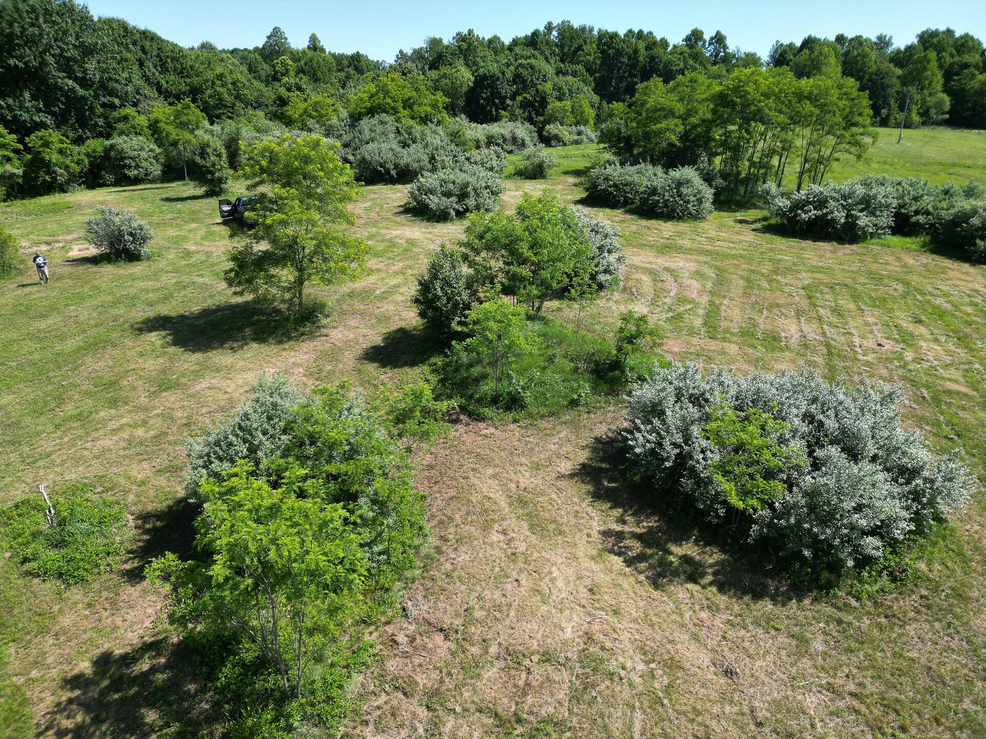 0 681st Road, Unit ALBANY HIDEAWAY TRACT 4) Albany, OH 45710 - Photo 2 of 47