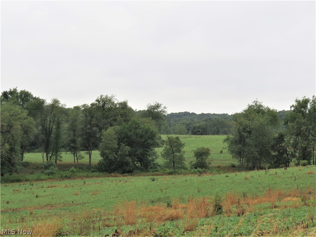 Marble Road Kensington, OH 44427 - Photo 14 of 14 Gallery Image 14