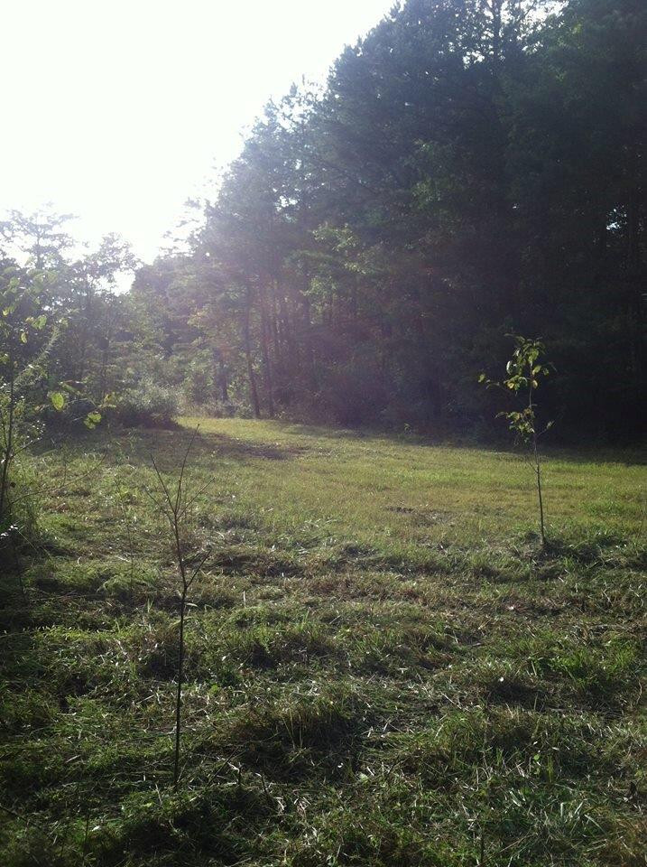 9999 Coon Club Road McKee, KY 40447 - Photo 6 of 6 Photo 6