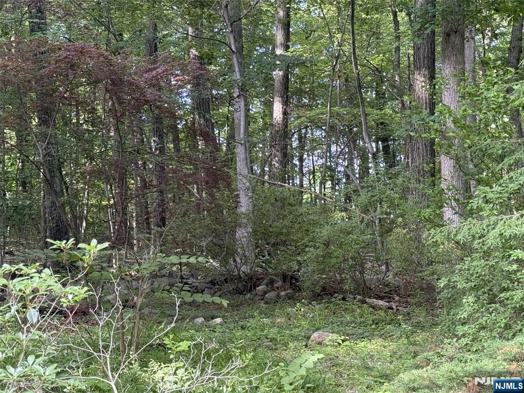36 Lavina Trail Oak Ridge, NJ 07438 - Photo 7 of 26
