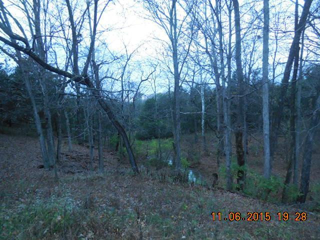 1090 Pumphouse Road Lawrenceburg, KY 40342 - Photo 8 of 26 Photo 8