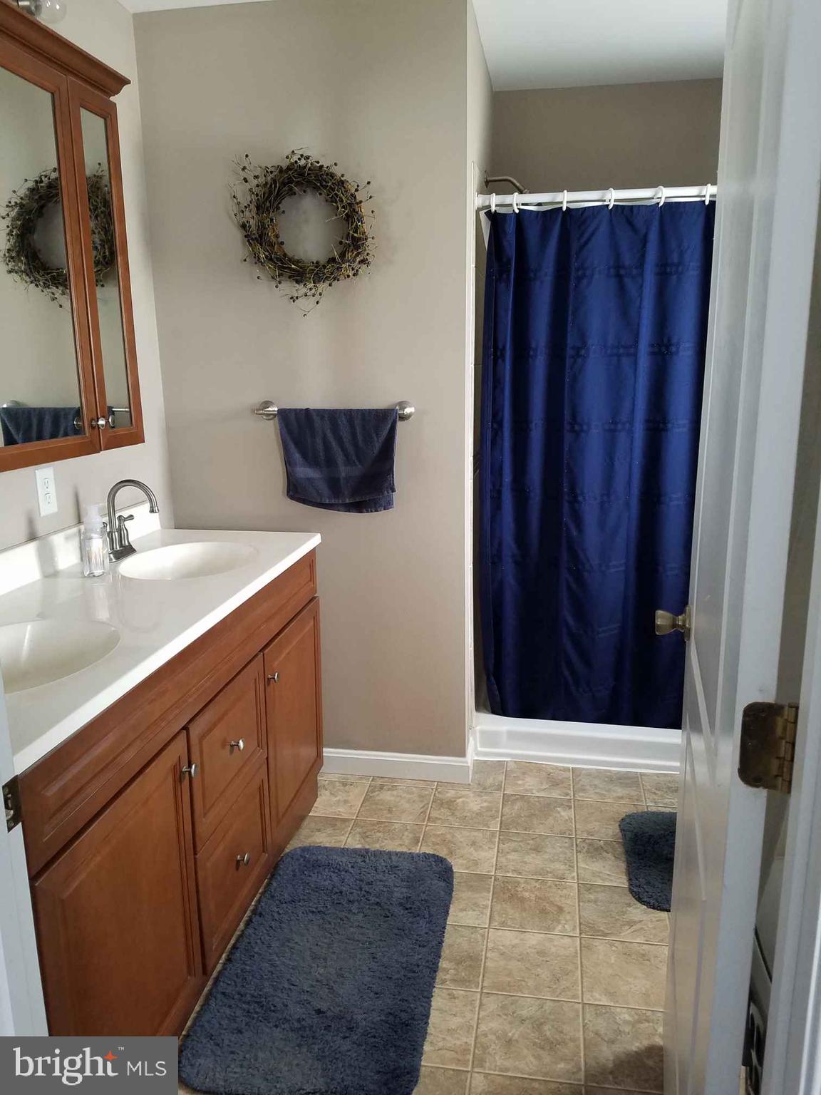 6042 Laurel Grove Road Denton, MD 21629 - Photo 8 of 13 Master bath