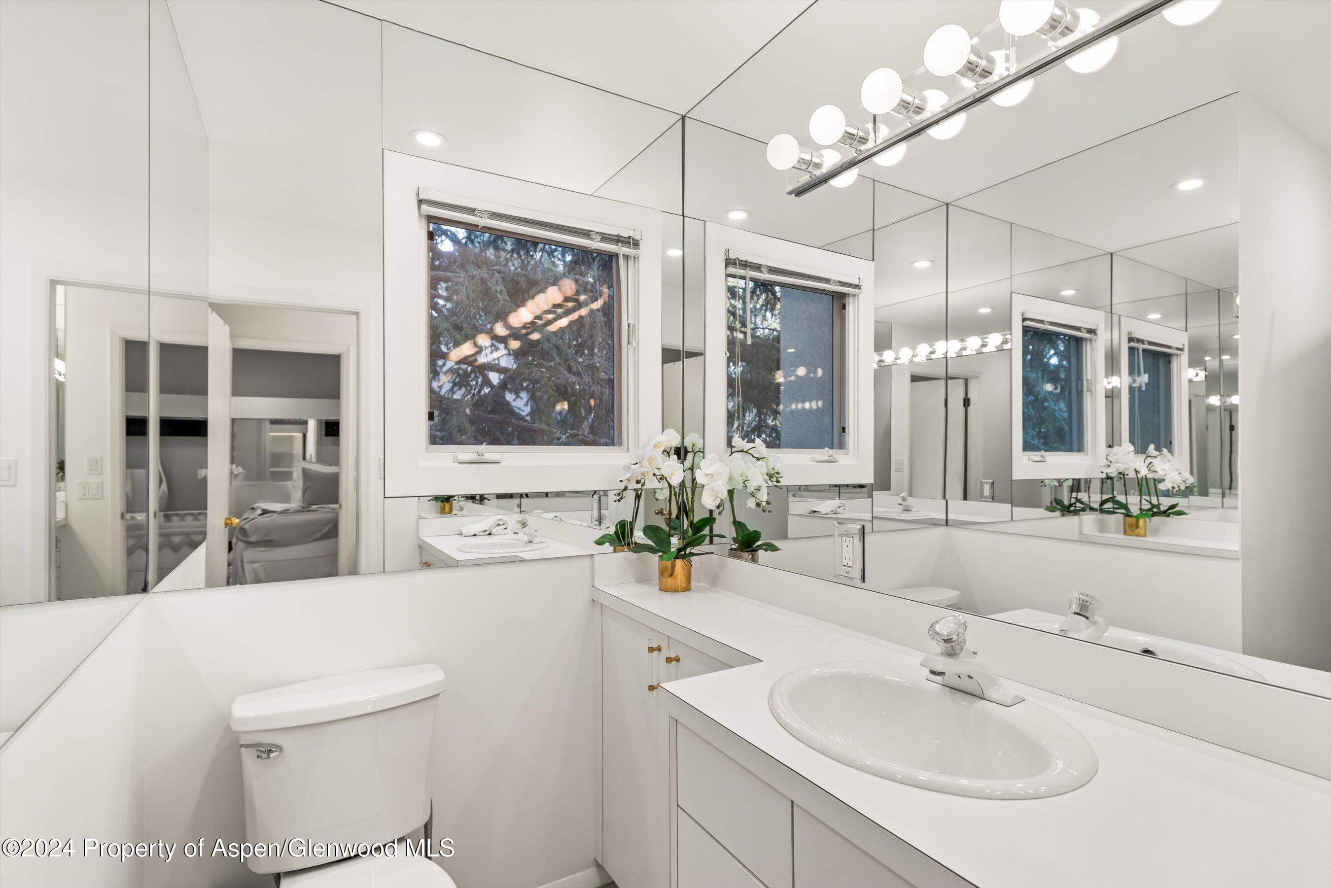 814 West Bleeker Street, Unit D1 Aspen, CO 81611 - Photo 14 of 22 a bathroom with a sink a large mirror and a toilet