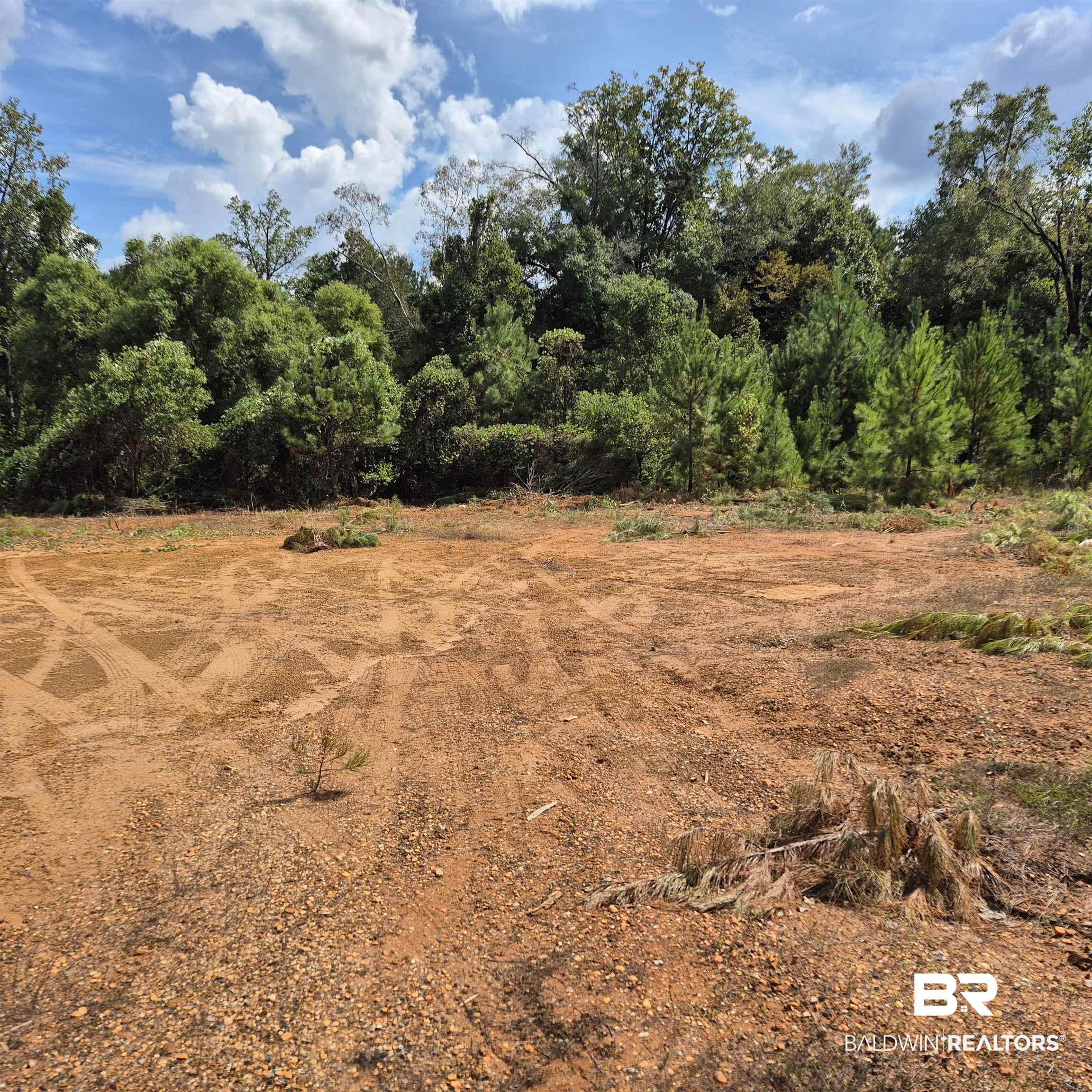 0 West Front Street Evergreen, AL 36401 - Photo 1 of 6 View of wooded area