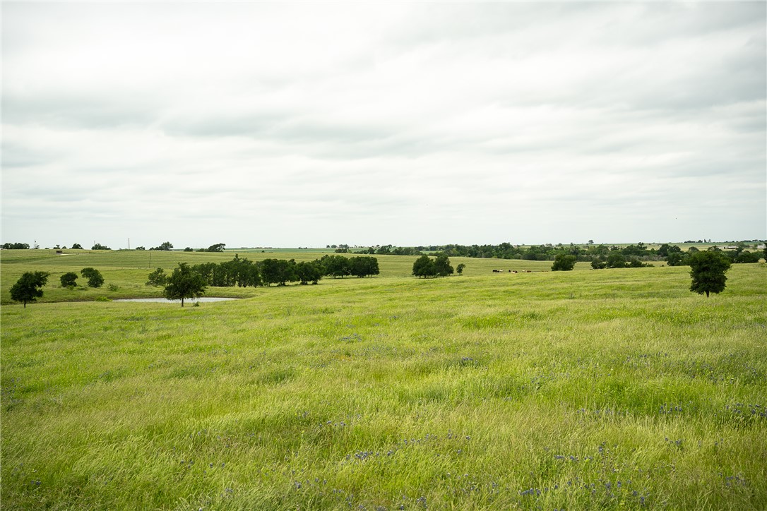 1716 B County Road 469 Coupland, TX 78615 - Photo 17 of 27 View of nature with rural landscape