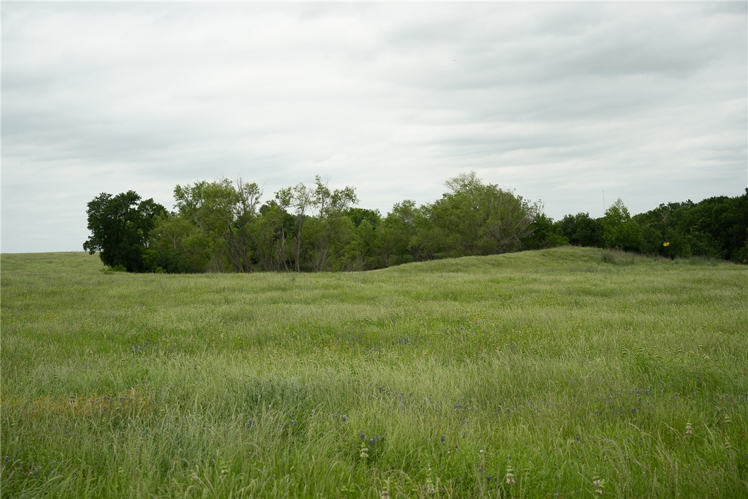1716 B County Road 469 Coupland, TX 78615 - Photo 19 of 27 View of local wilderness featuring rural landscape
