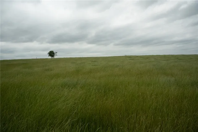 $1,100,995 | 1716 B County Road 469, Coupland, TX 78615