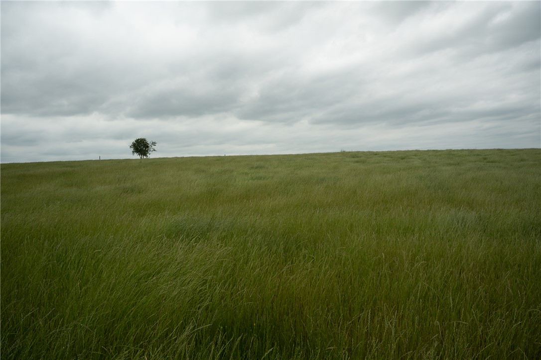 1716 B County Road 469 Coupland, TX 78615 - Photo 20 of 27 View of undeveloped land with rural landscape