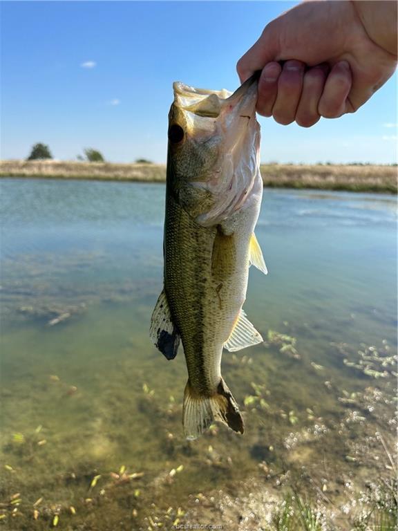 1716 B County Road 469 Coupland, TX 78615 - Photo 27 of 27 Exterior view