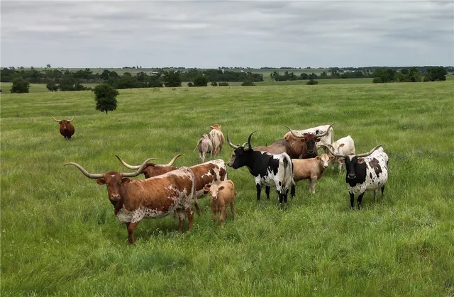 $1,100,995 | 1716 B County Road 469, Coupland, TX 78615