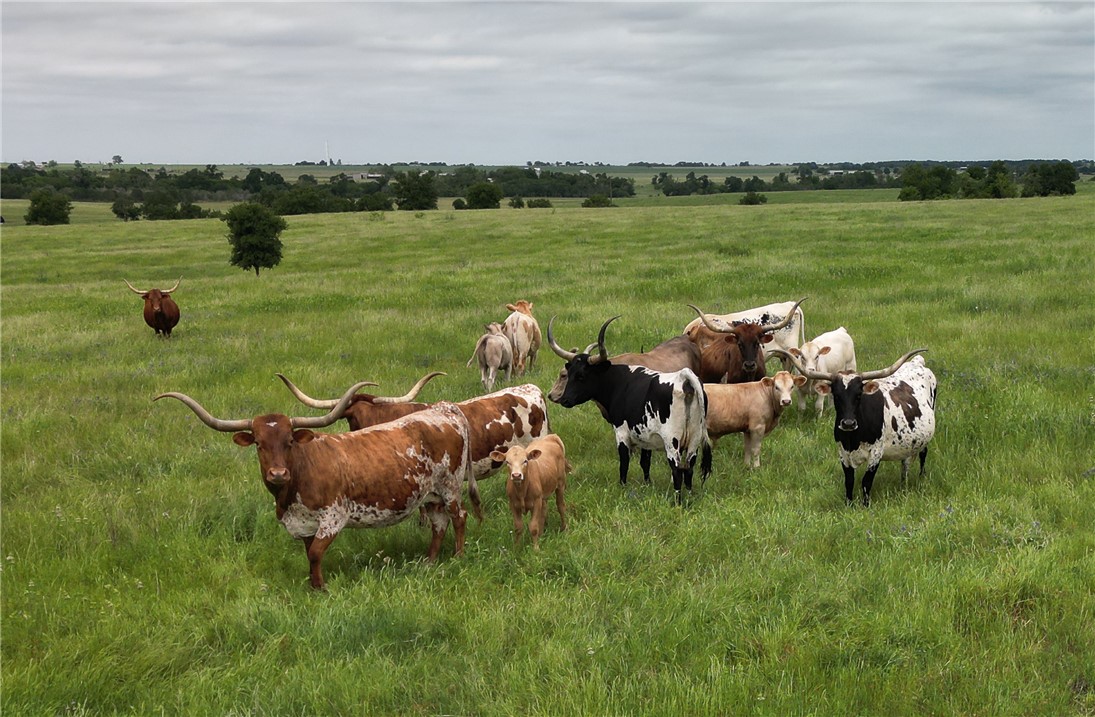 1716 B County Road 469 Coupland, TX 78615 - Photo 6 of 27 Exterior view