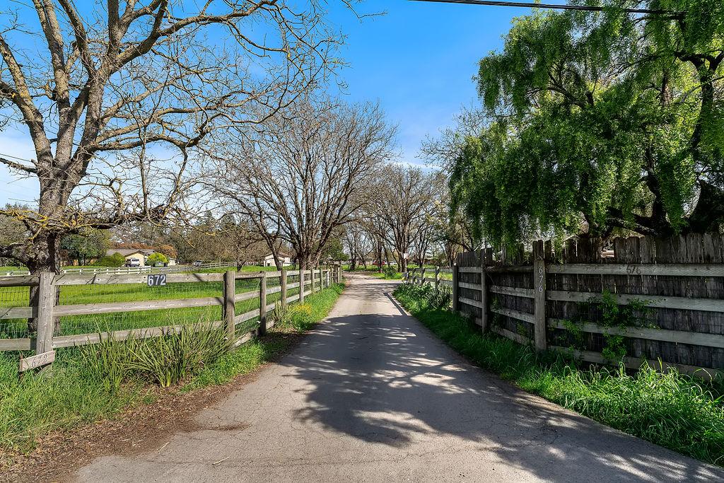 a view of park with large trees