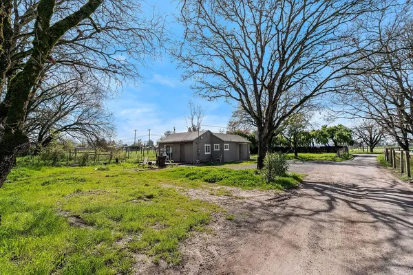 a view of a big yard with large trees