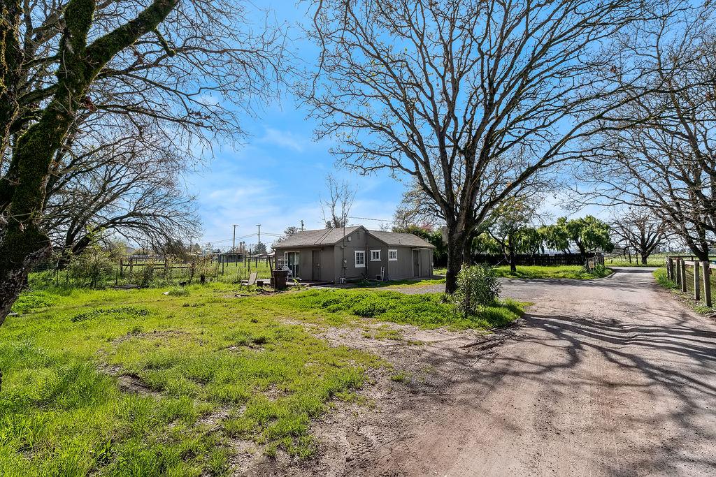 Irwin Lane Santa Rosa, CA 95401 - Photo 6 of 35 a view of a big yard with large trees
