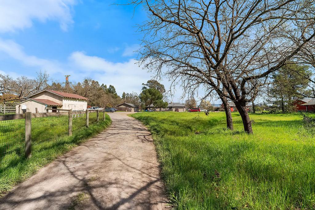 Irwin Lane Santa Rosa, CA 95401 - Photo 8 of 35 a view of a garden with a tree