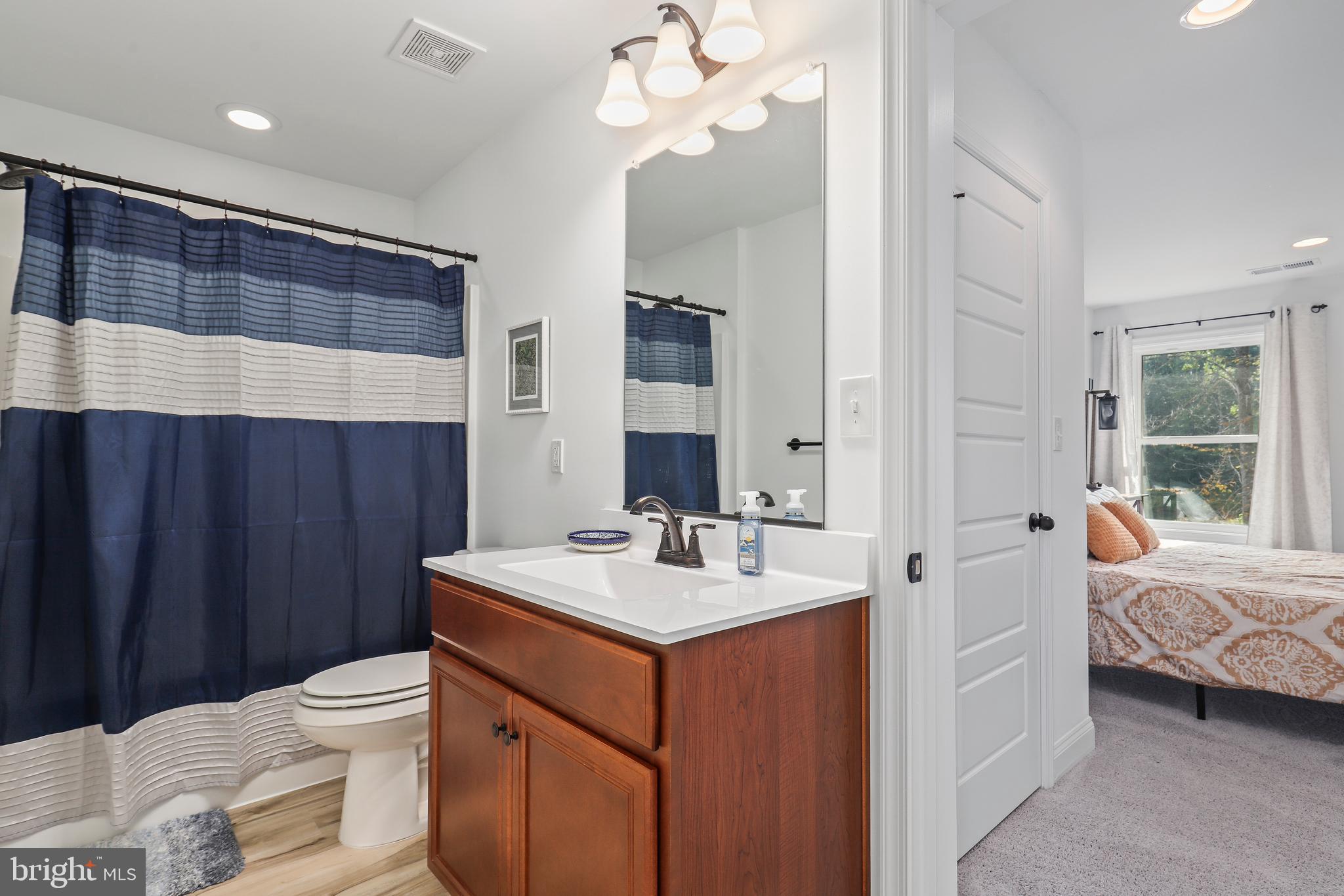 225 Raven Road Bumpass, VA 23024 - Photo 35 of 46 a bathroom with a sink a toilet and a mirror