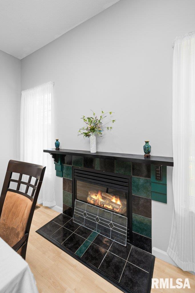 308 8th Avenue Hampton, IL 61256 - Photo 17 of 44