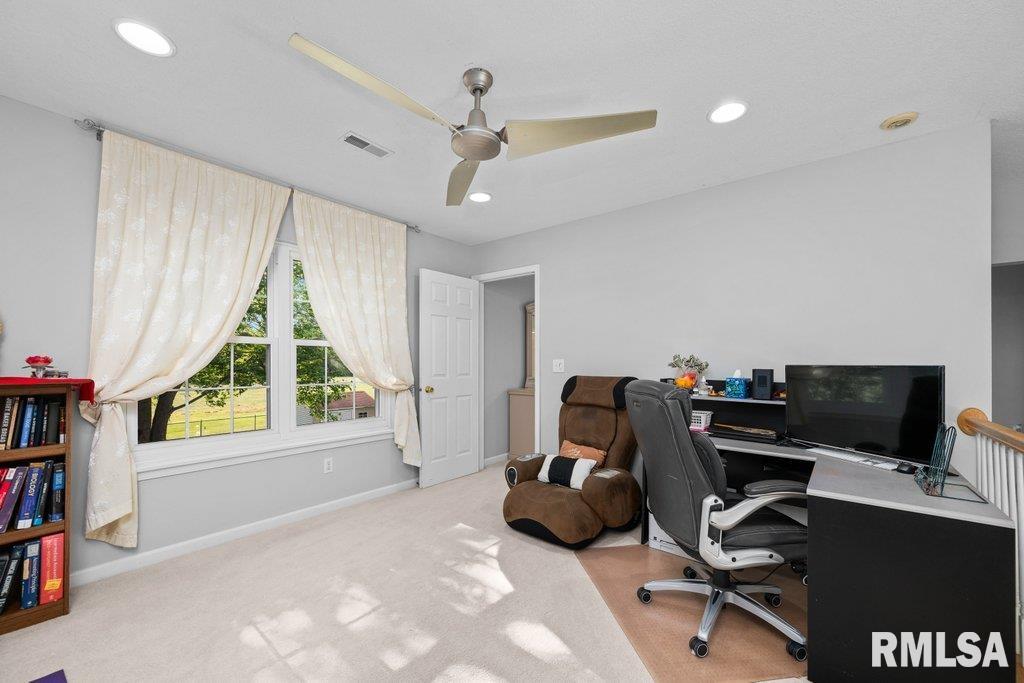 308 8th Avenue Hampton, IL 61256 - Photo 22 of 44