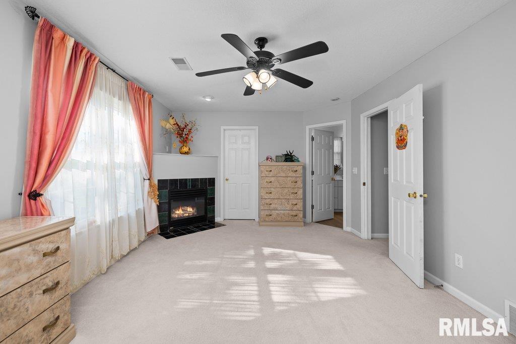 308 8th Avenue Hampton, IL 61256 - Photo 23 of 44