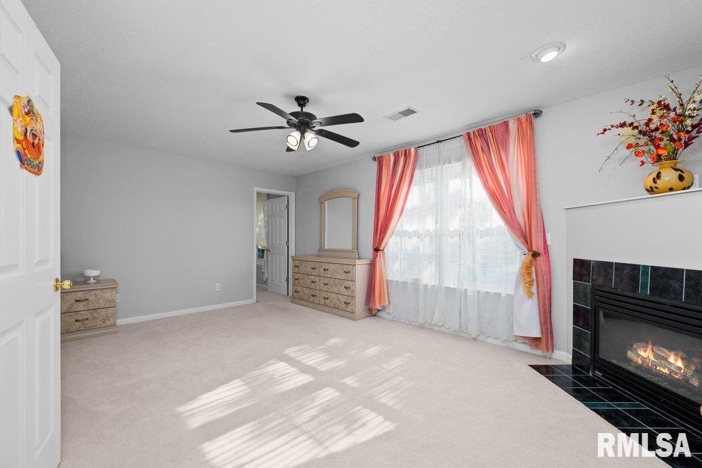 308 8th Avenue Hampton, IL 61256 - Photo 24 of 44