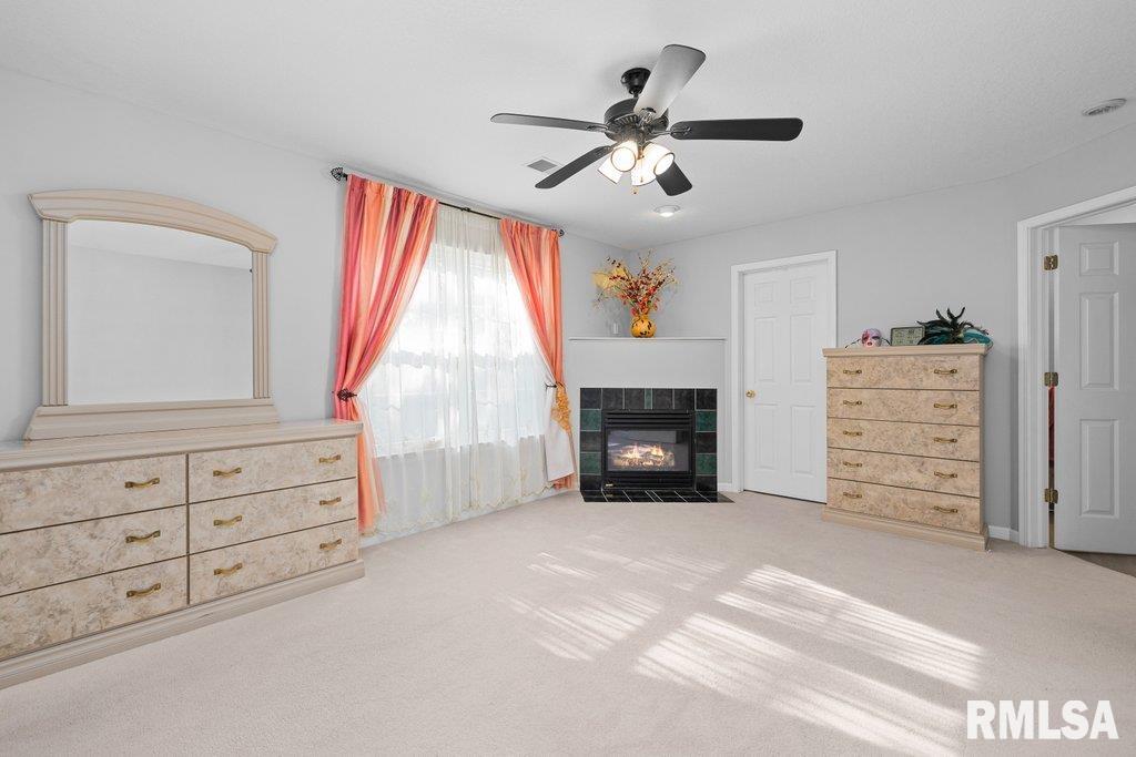 308 8th Avenue Hampton, IL 61256 - Photo 25 of 44