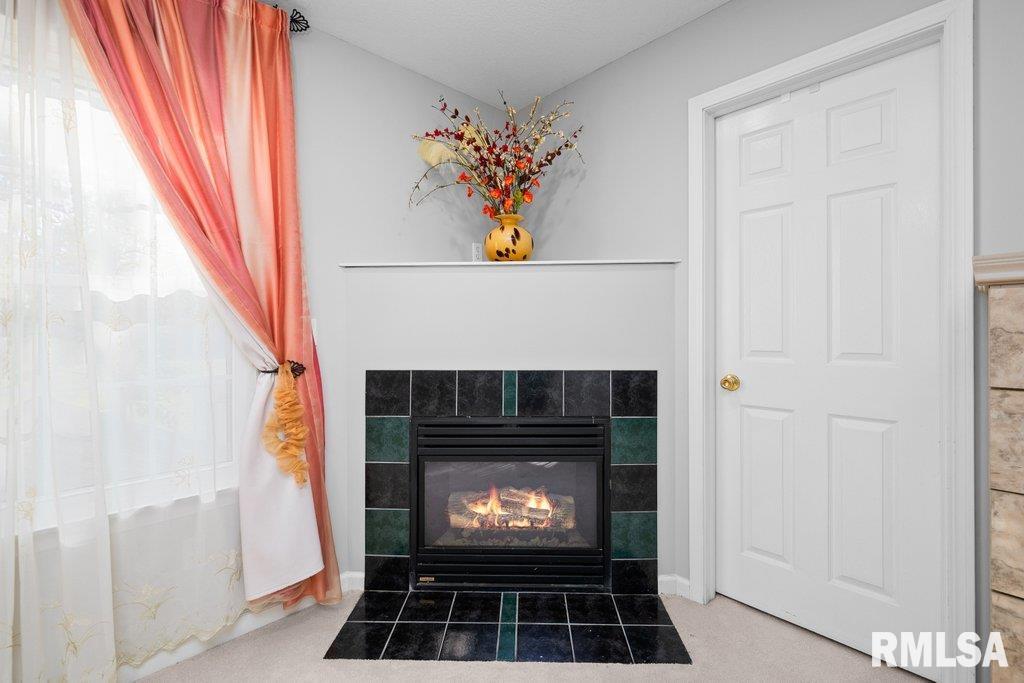 308 8th Avenue Hampton, IL 61256 - Photo 26 of 44