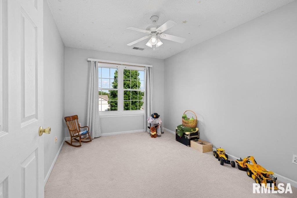 308 8th Avenue Hampton, IL 61256 - Photo 29 of 44