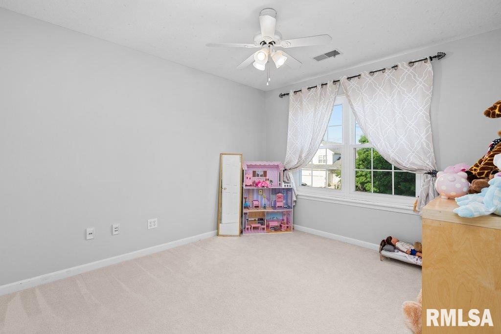 308 8th Avenue Hampton, IL 61256 - Photo 31 of 44