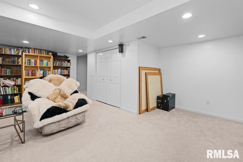 308 8th Avenue Hampton, IL 61256 - Photo 35 of 44